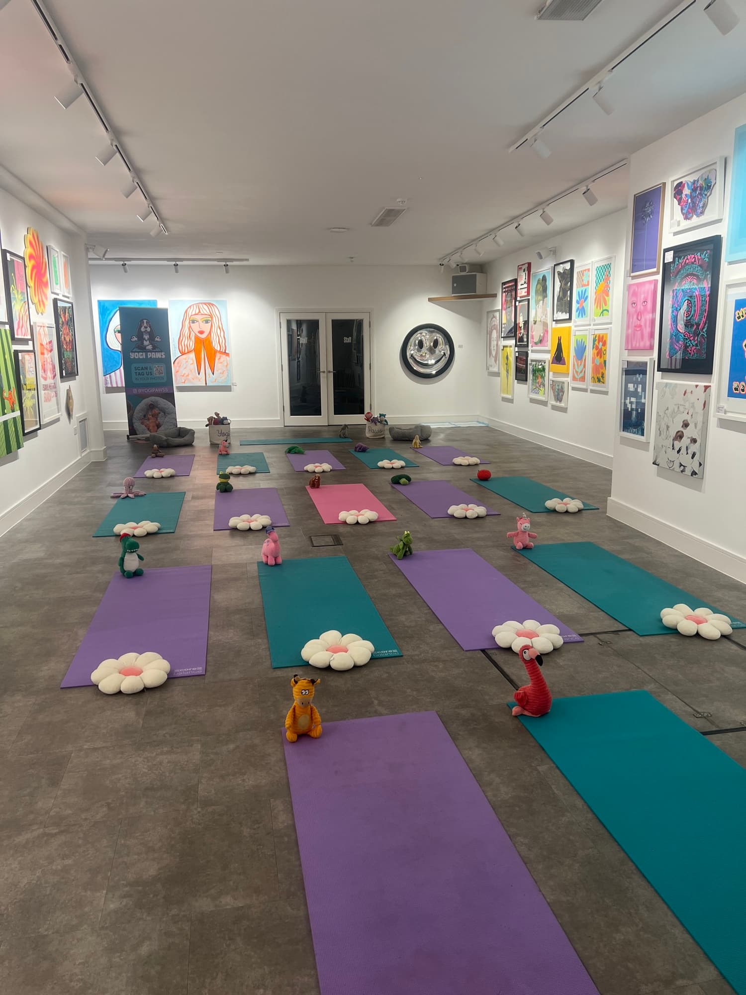 The Yogi Paws studio set up for a session