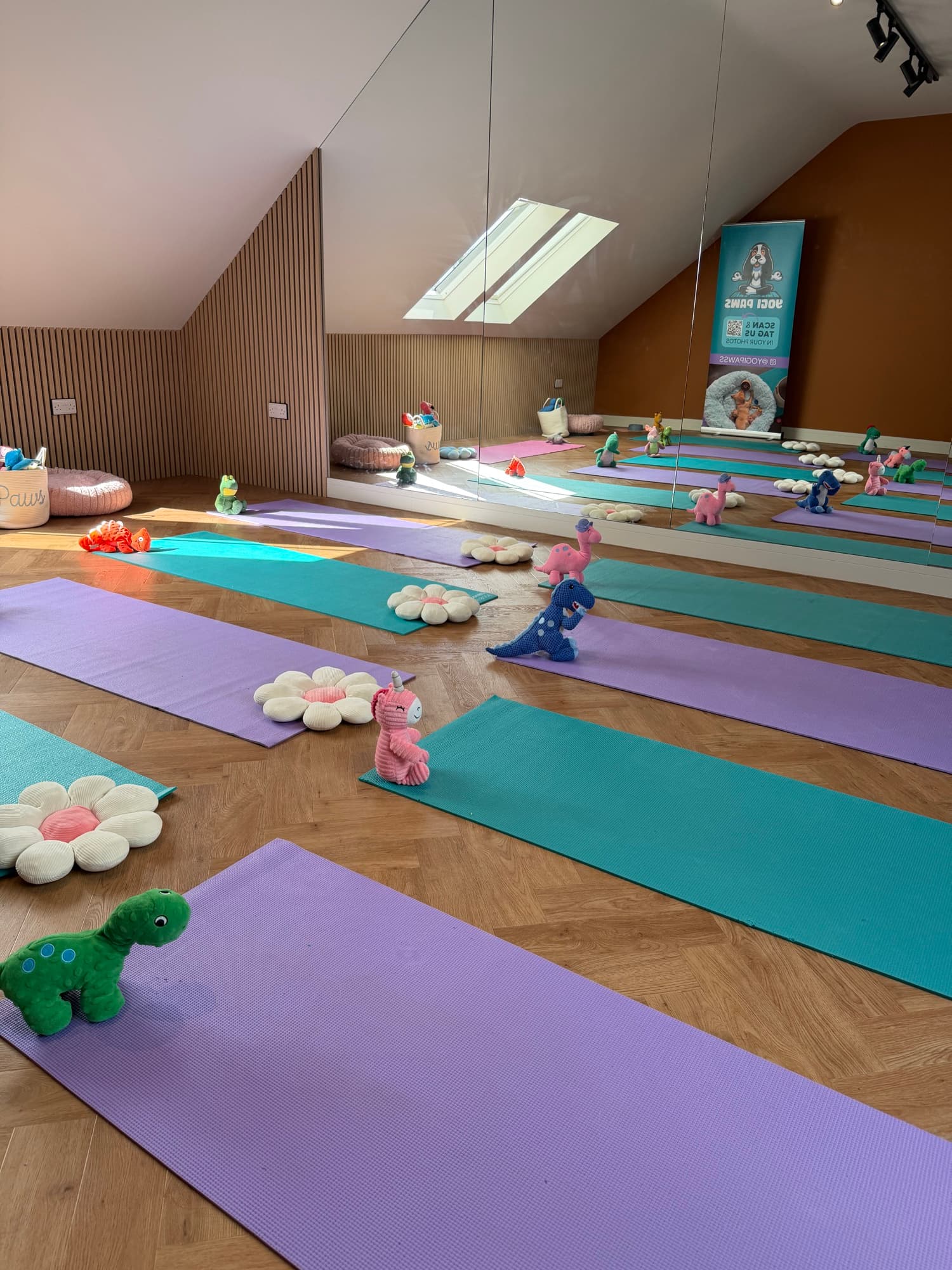 The Yogi Paws studio set up for a session