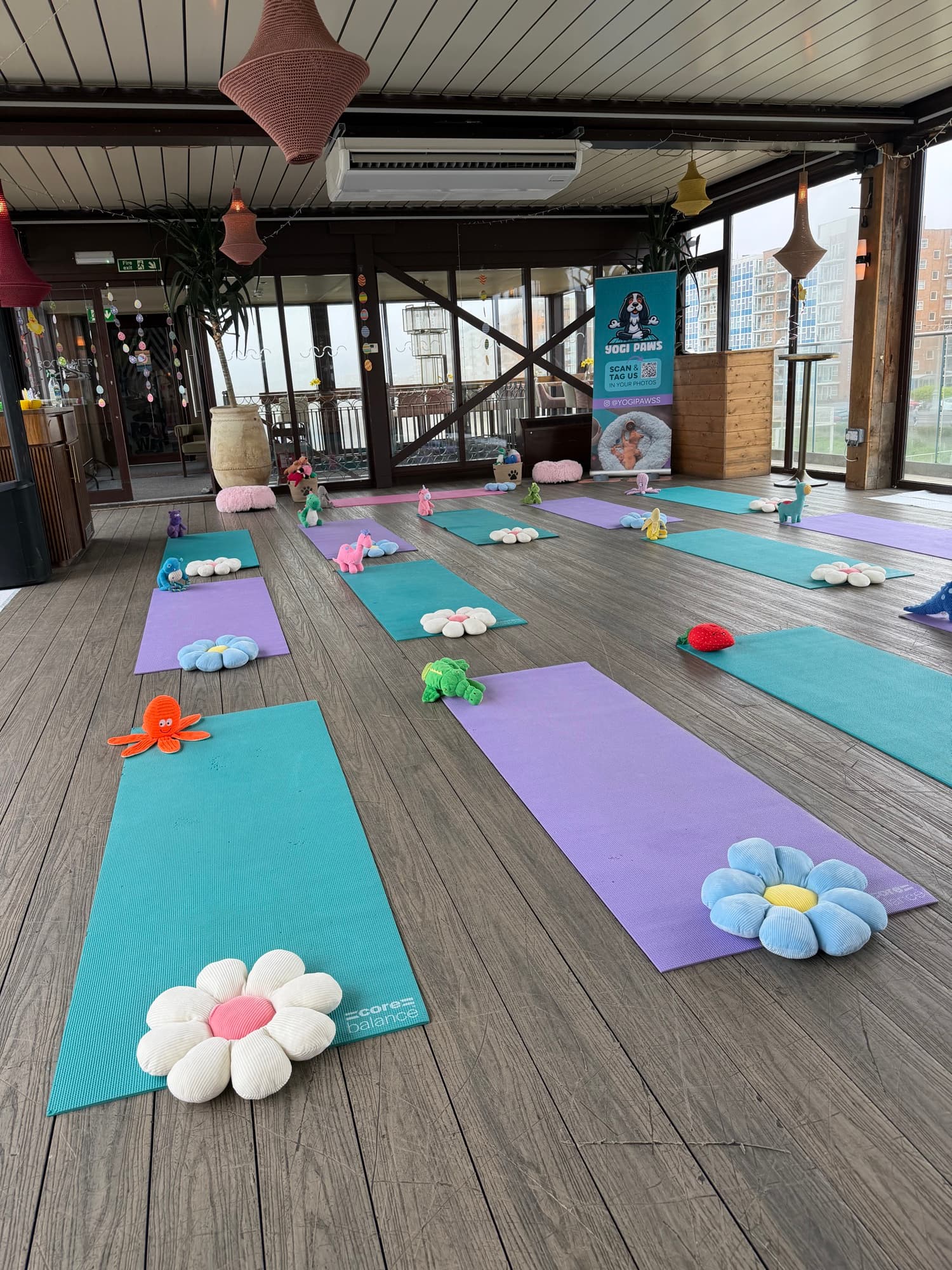 The Yogi Paws studio set up for a session