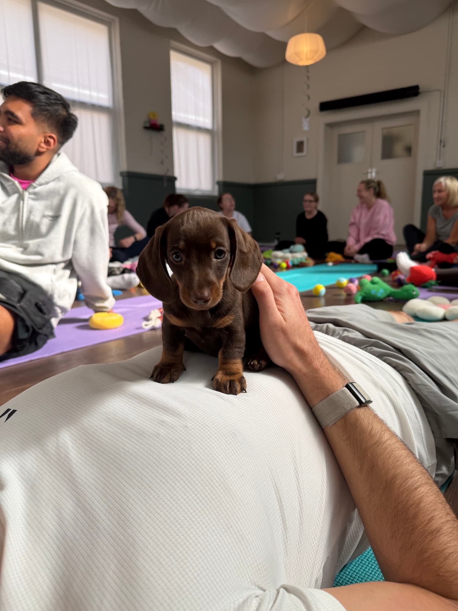 A puppy at a Yogi Paws session
