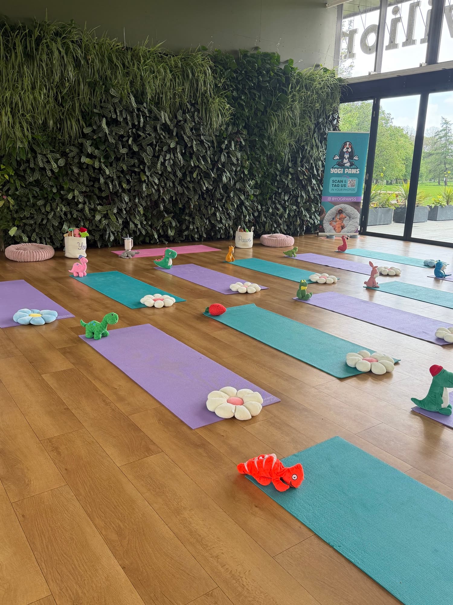 The Yogi Paws studio set up for a session