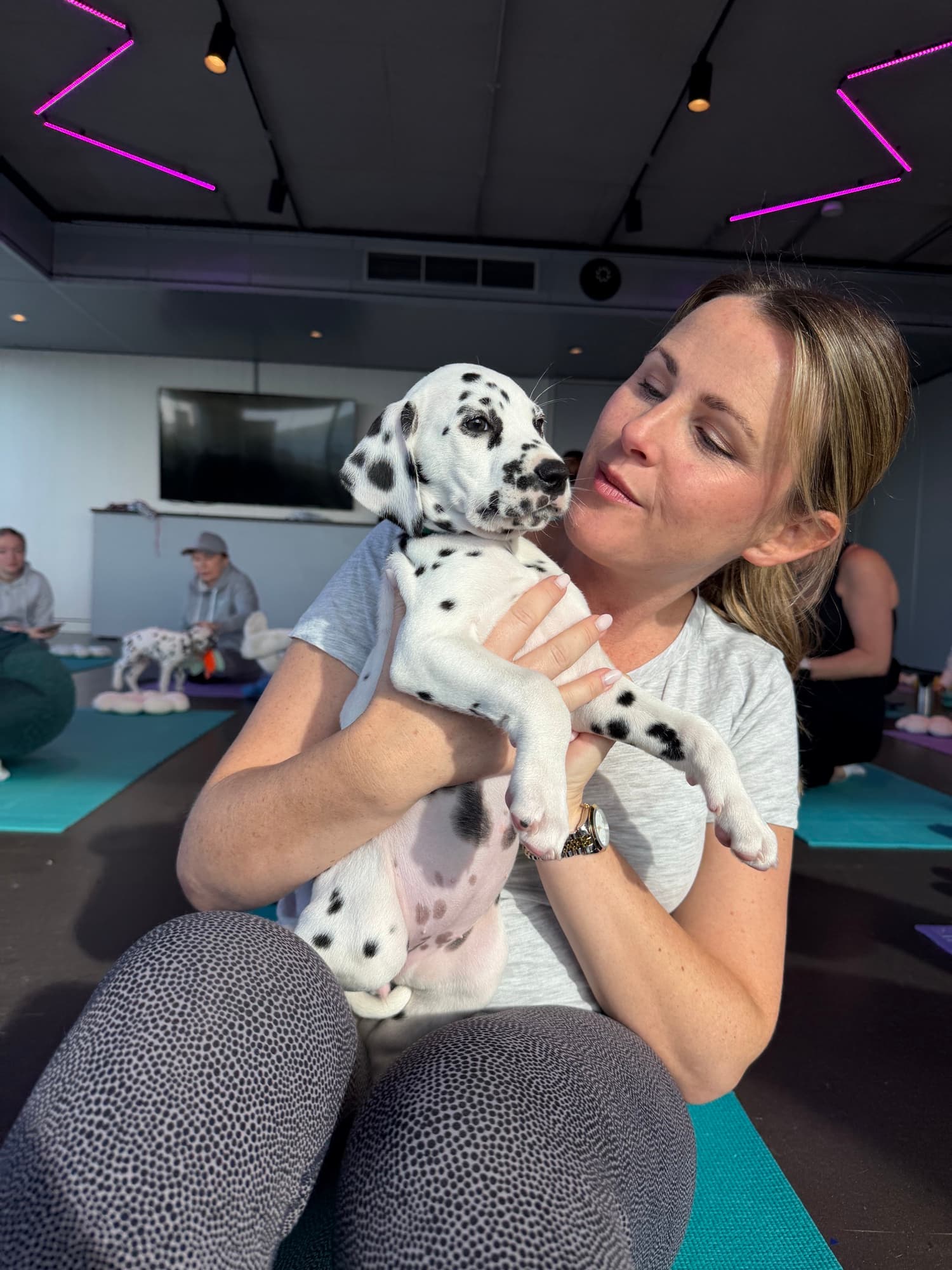 A guest cuddling a Dalmatian puppy