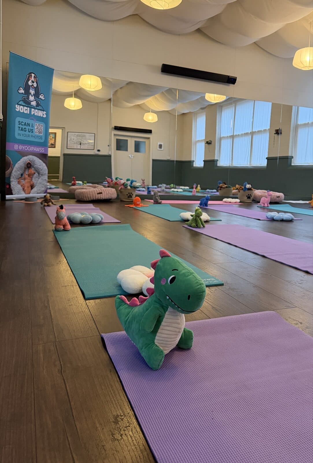 The Yogi Paws studio set up with mats and props