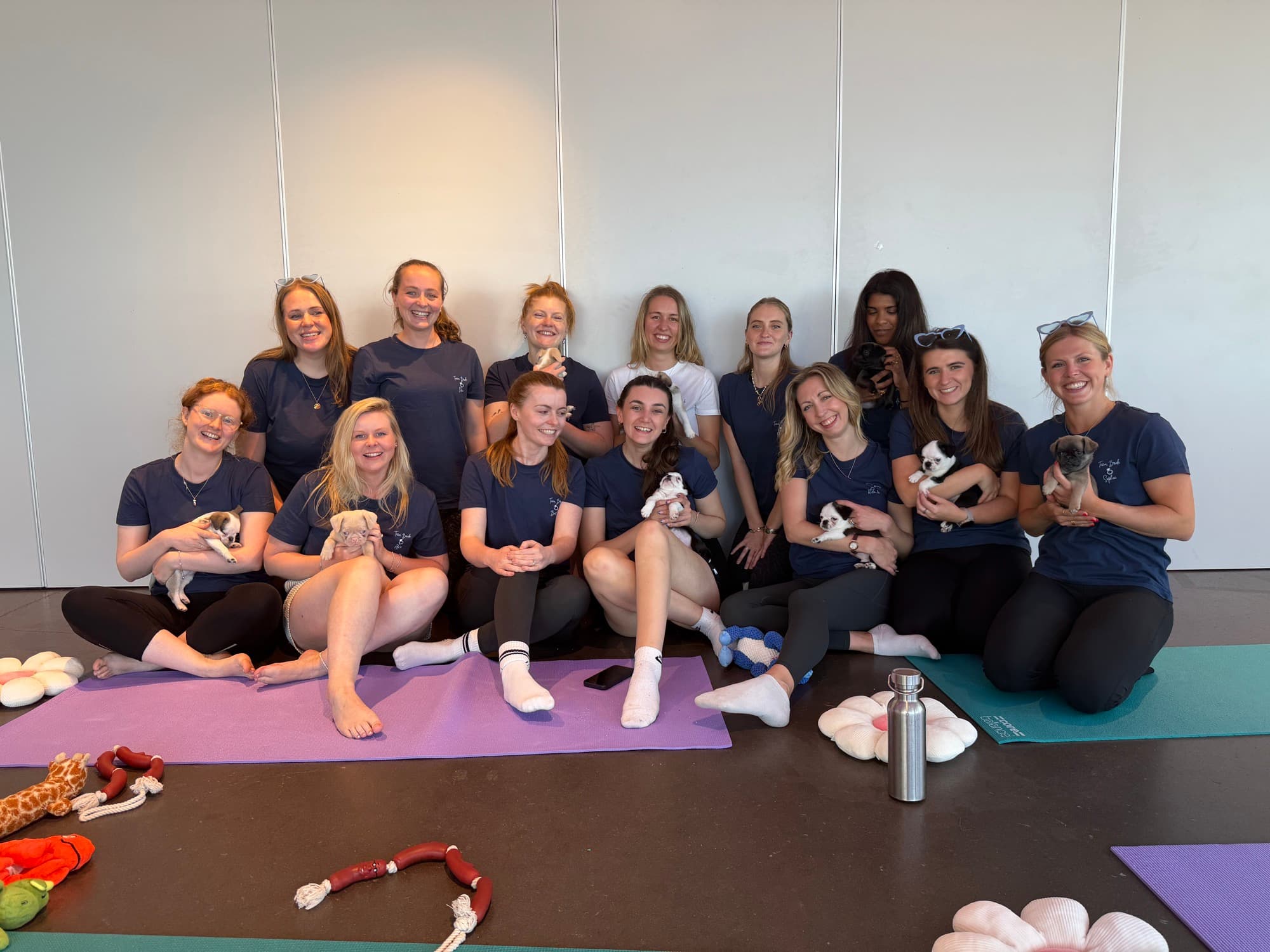 A group enjoying a Yogi Paws private hire