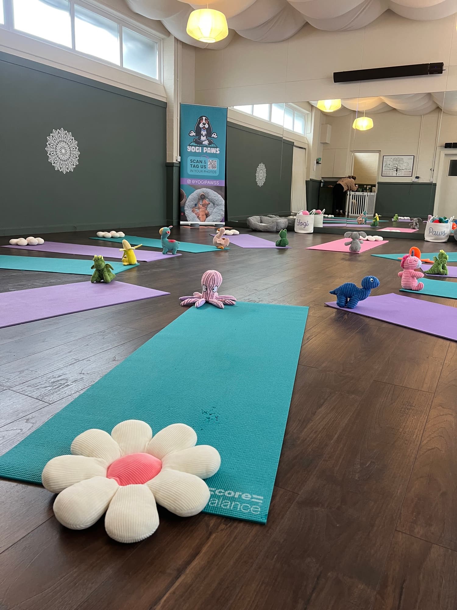 The Yogi Paws studio set up for a session