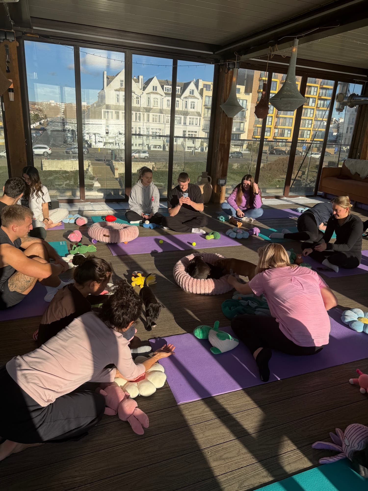 A Yogi Paws class in full swing