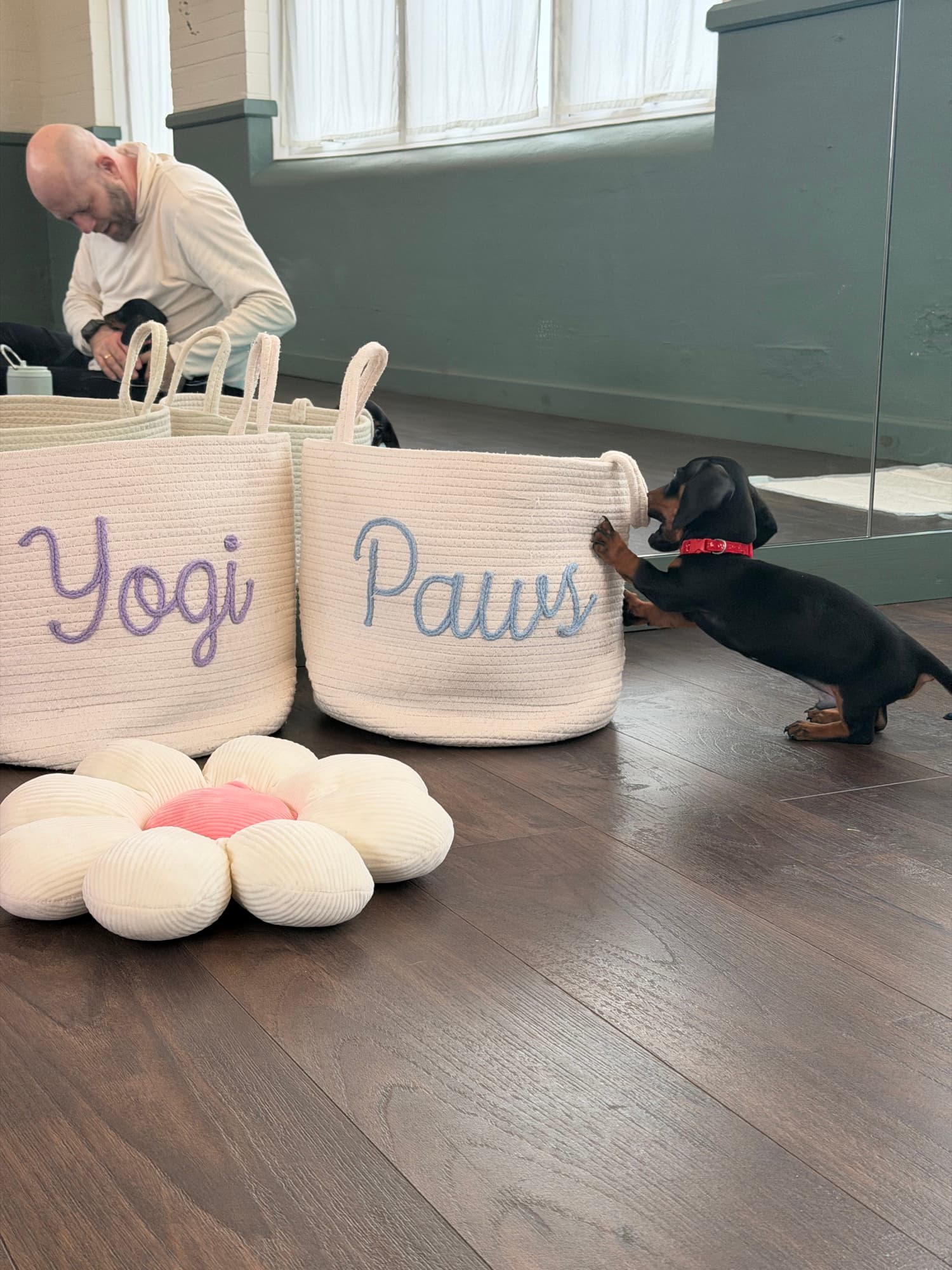 The Yogi Paws studio set up for a session