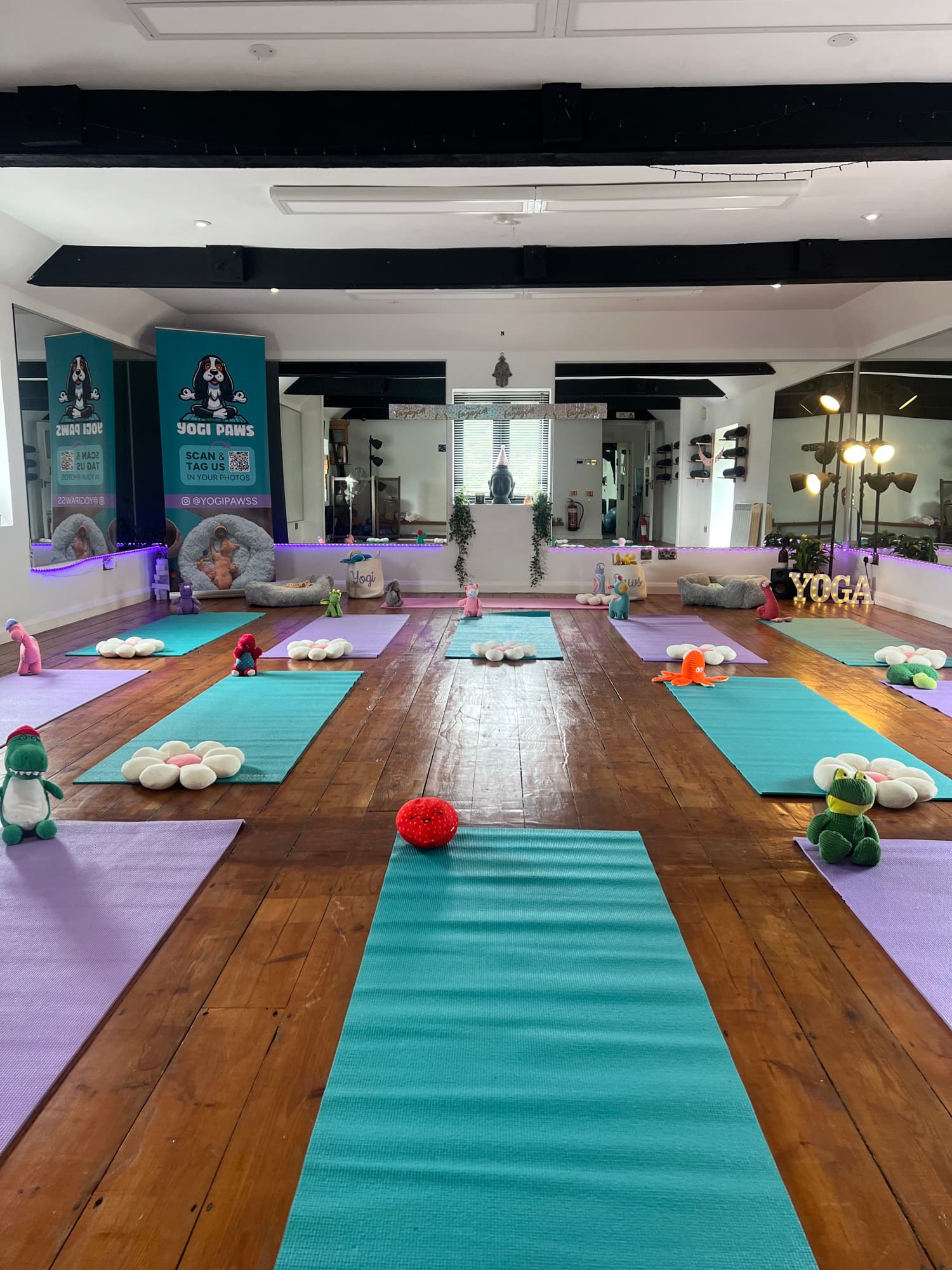 The Yogi Paws studio set up for a session