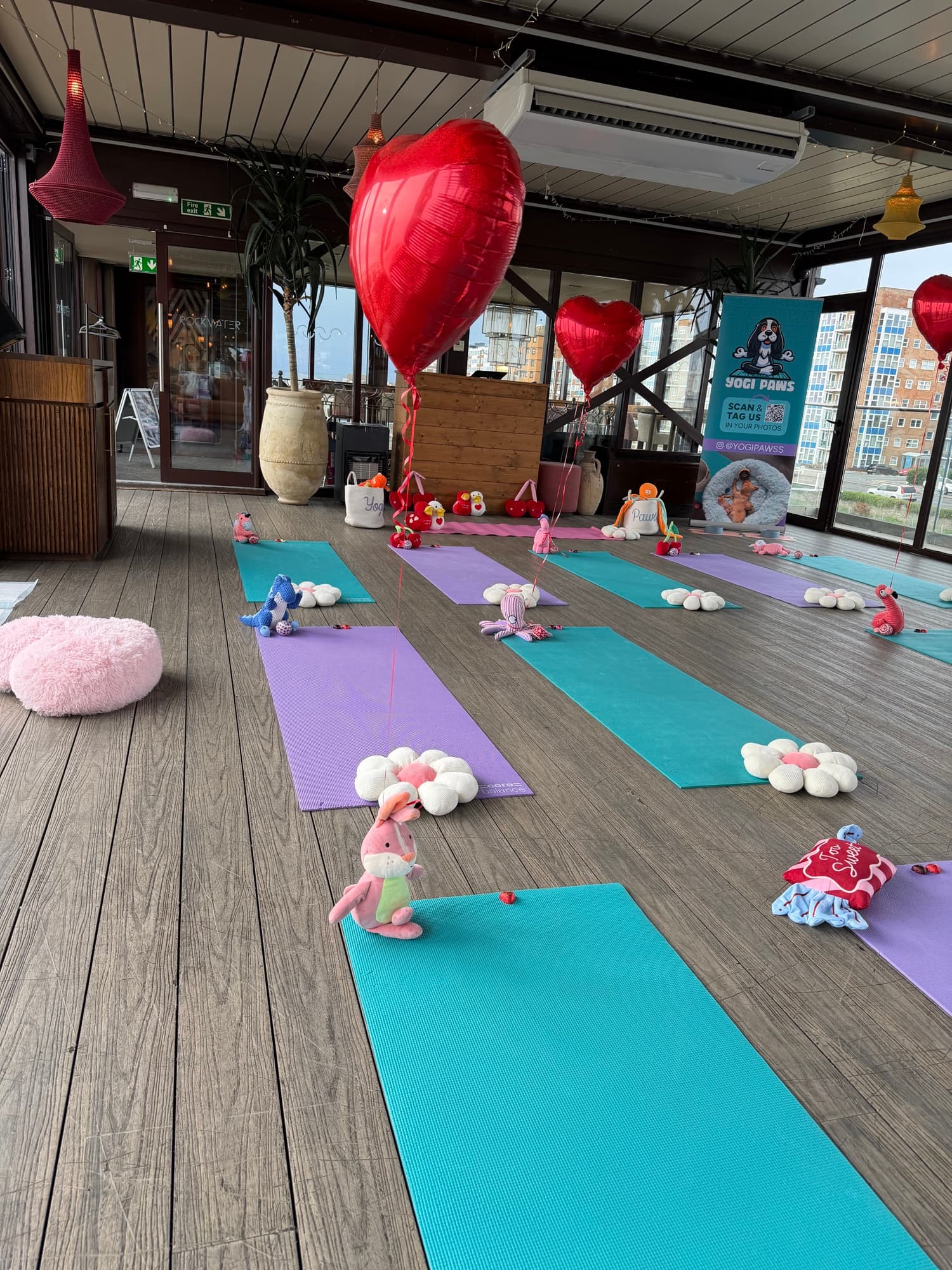 The Yogi Paws studio set up for a session
