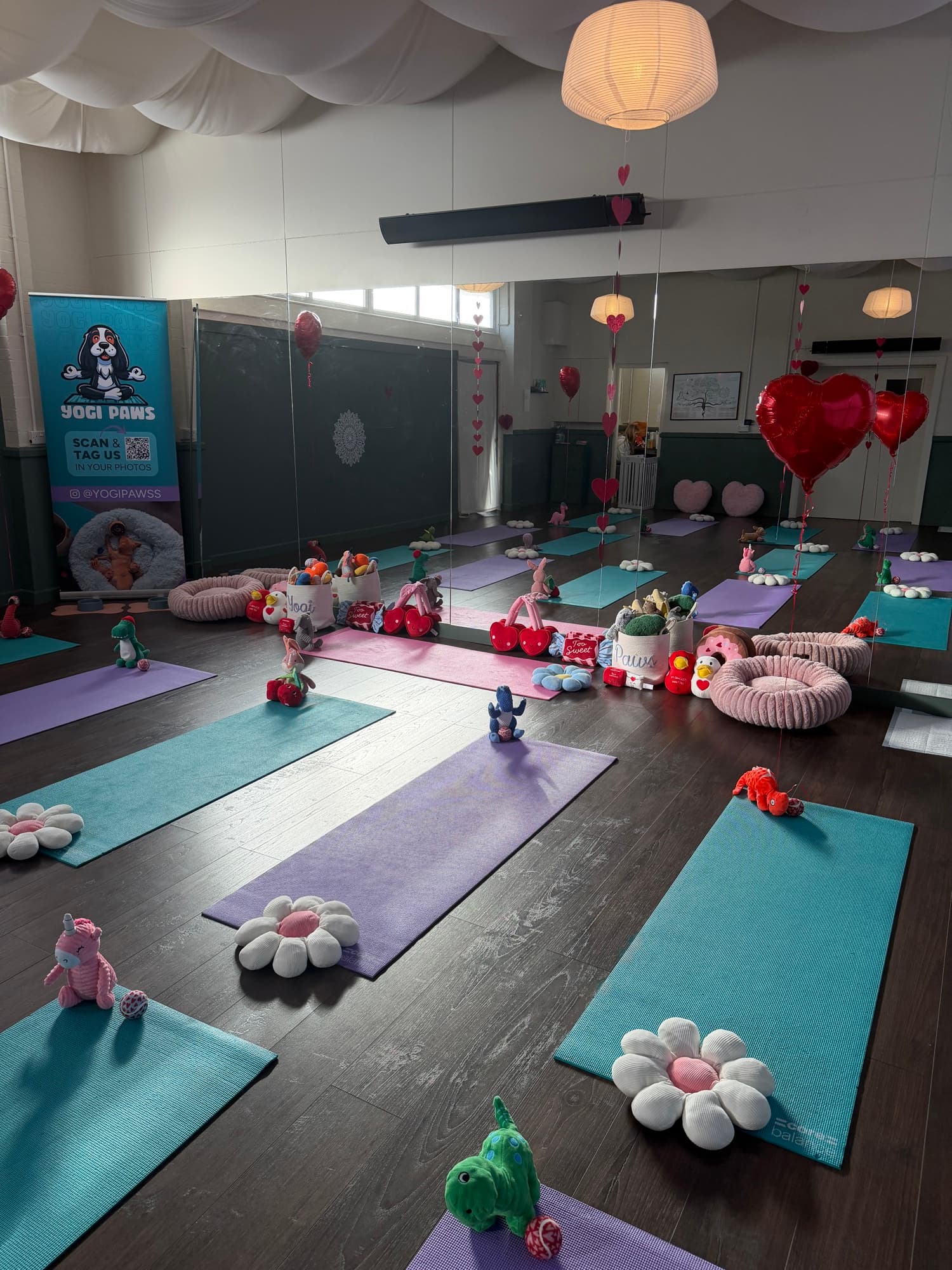 The Yogi Paws studio set up for a session