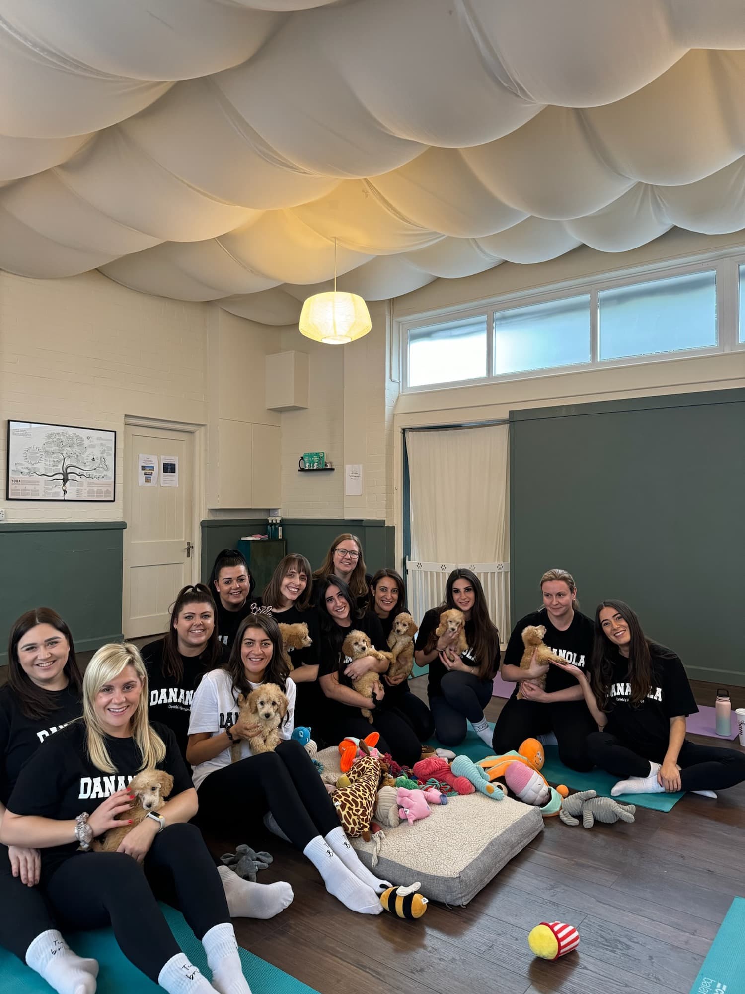 A group enjoying a Yogi Paws private hire