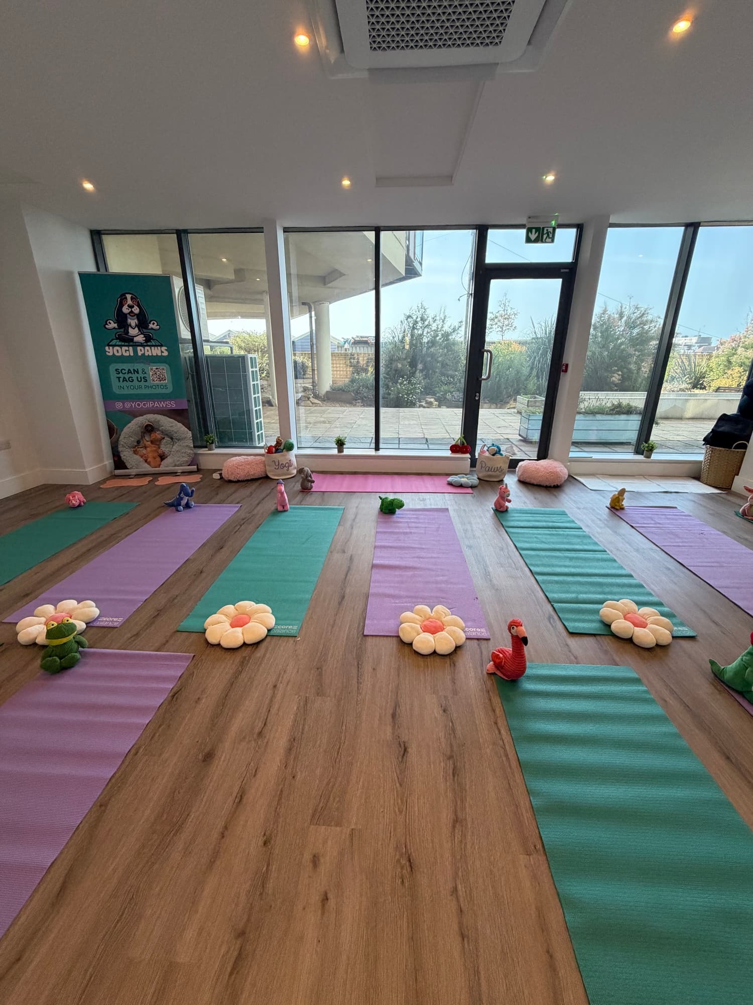 The Yogi Paws studio set up for a session