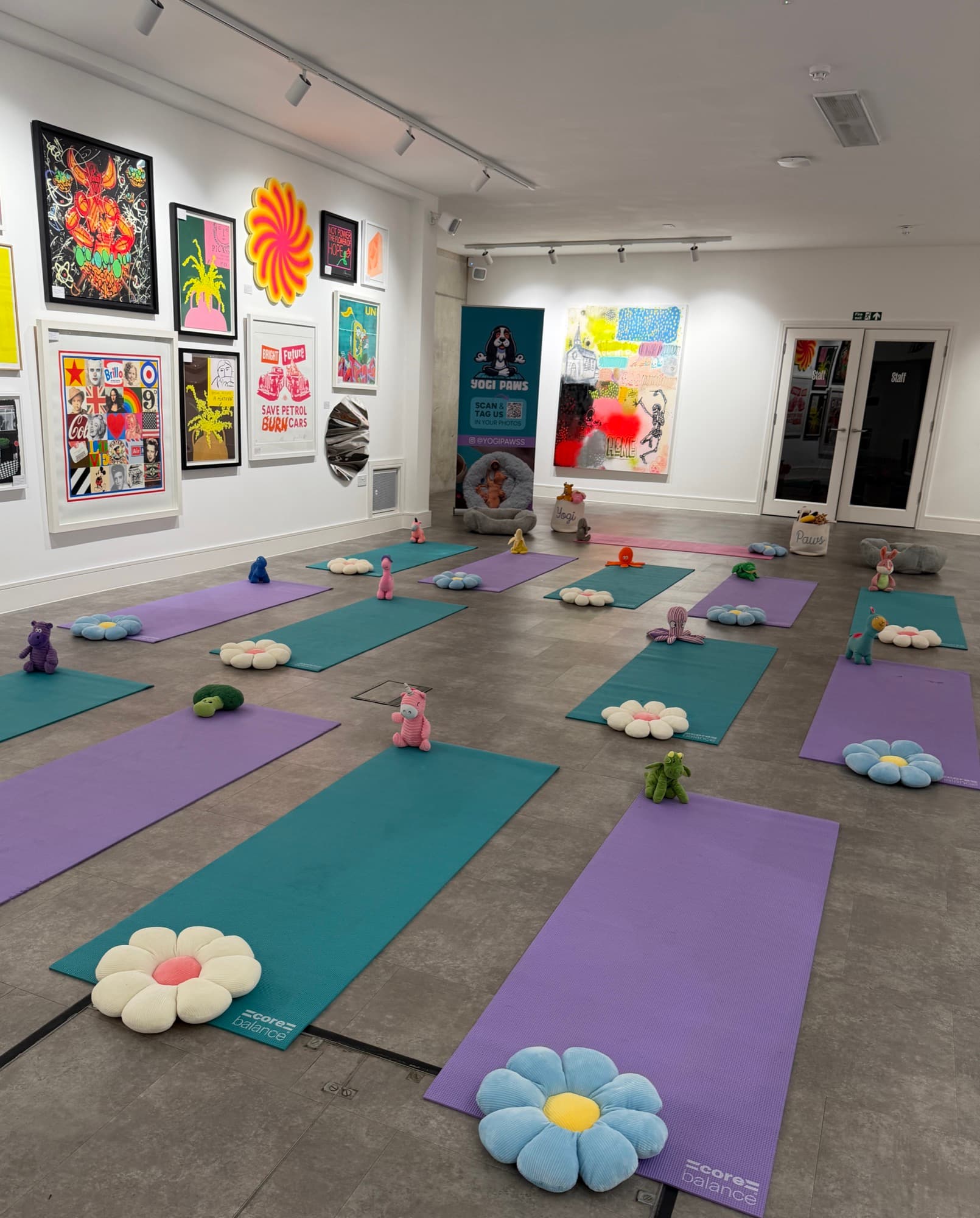 The Yogi Paws studio set up for a session