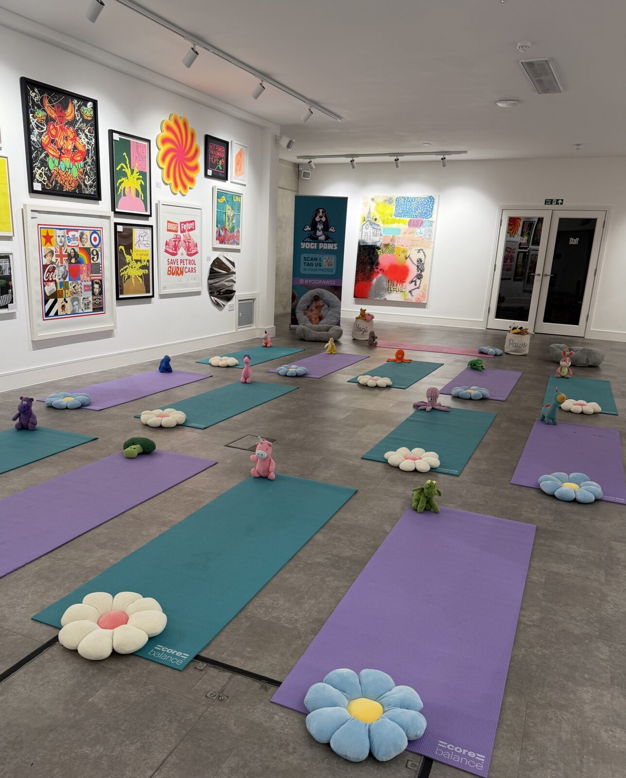 The Yogi Paws studio set up for a session