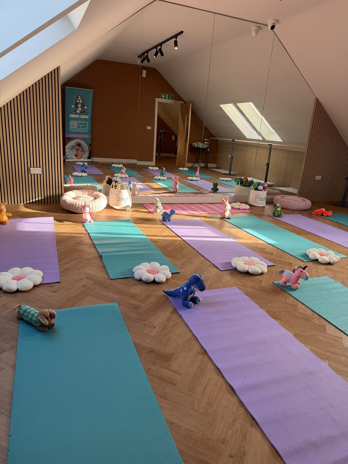 The Yogi Paws studio set up for a session