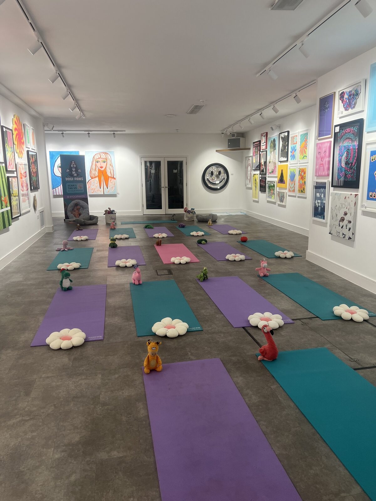 The Yogi Paws studio set up for a session