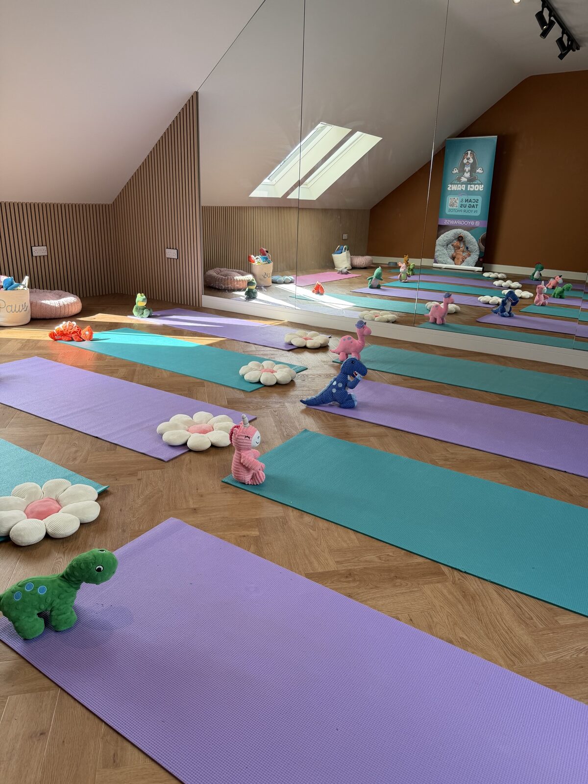 The Yogi Paws studio set up for a session