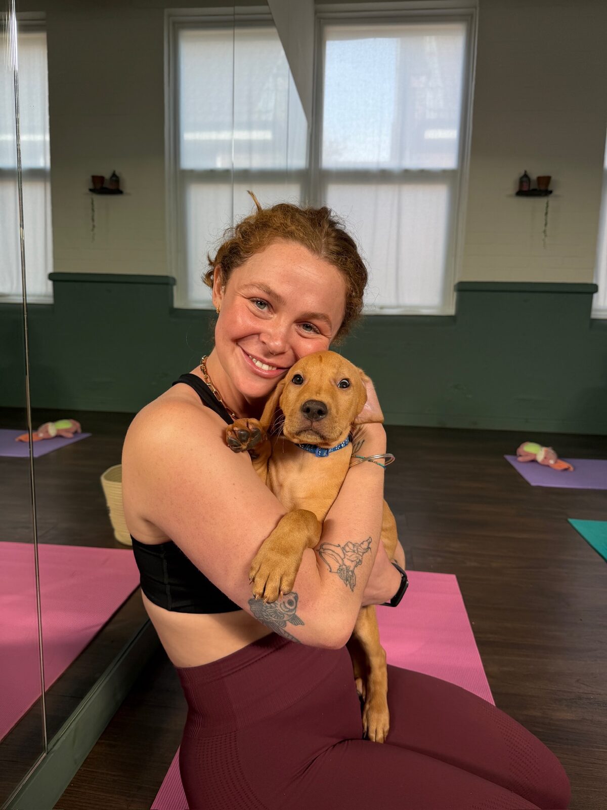 A Yogi Paws puppy yoga class in session