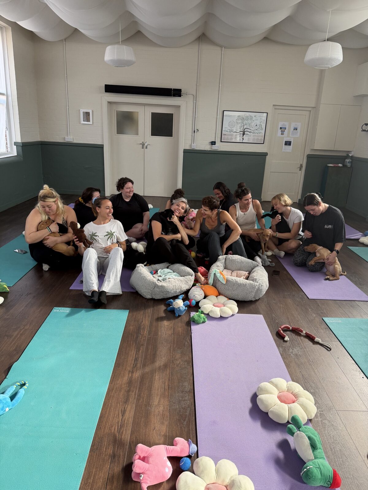 A group enjoying a Yogi Paws private hire