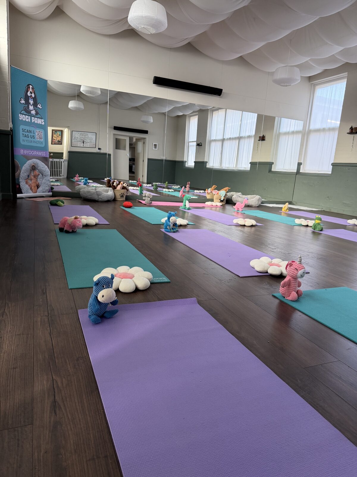 The Yogi Paws studio set up for a session