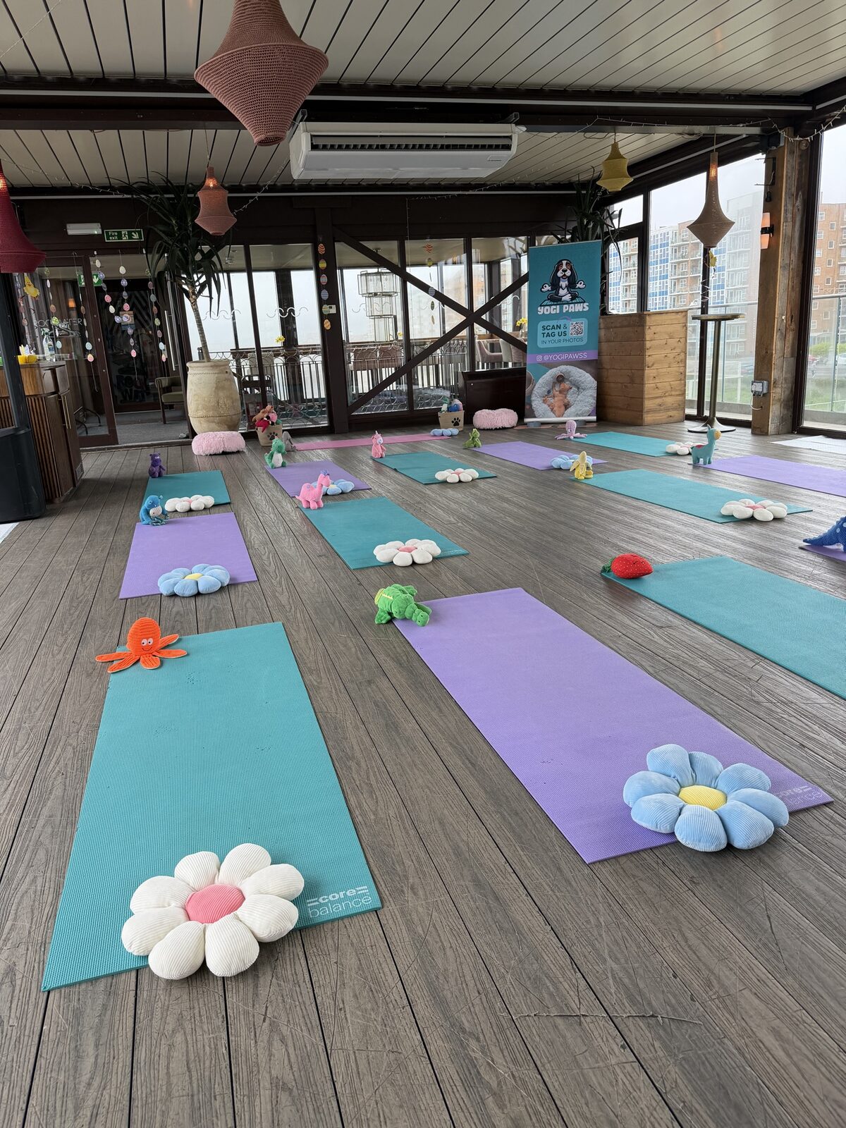 The Yogi Paws studio set up for a session