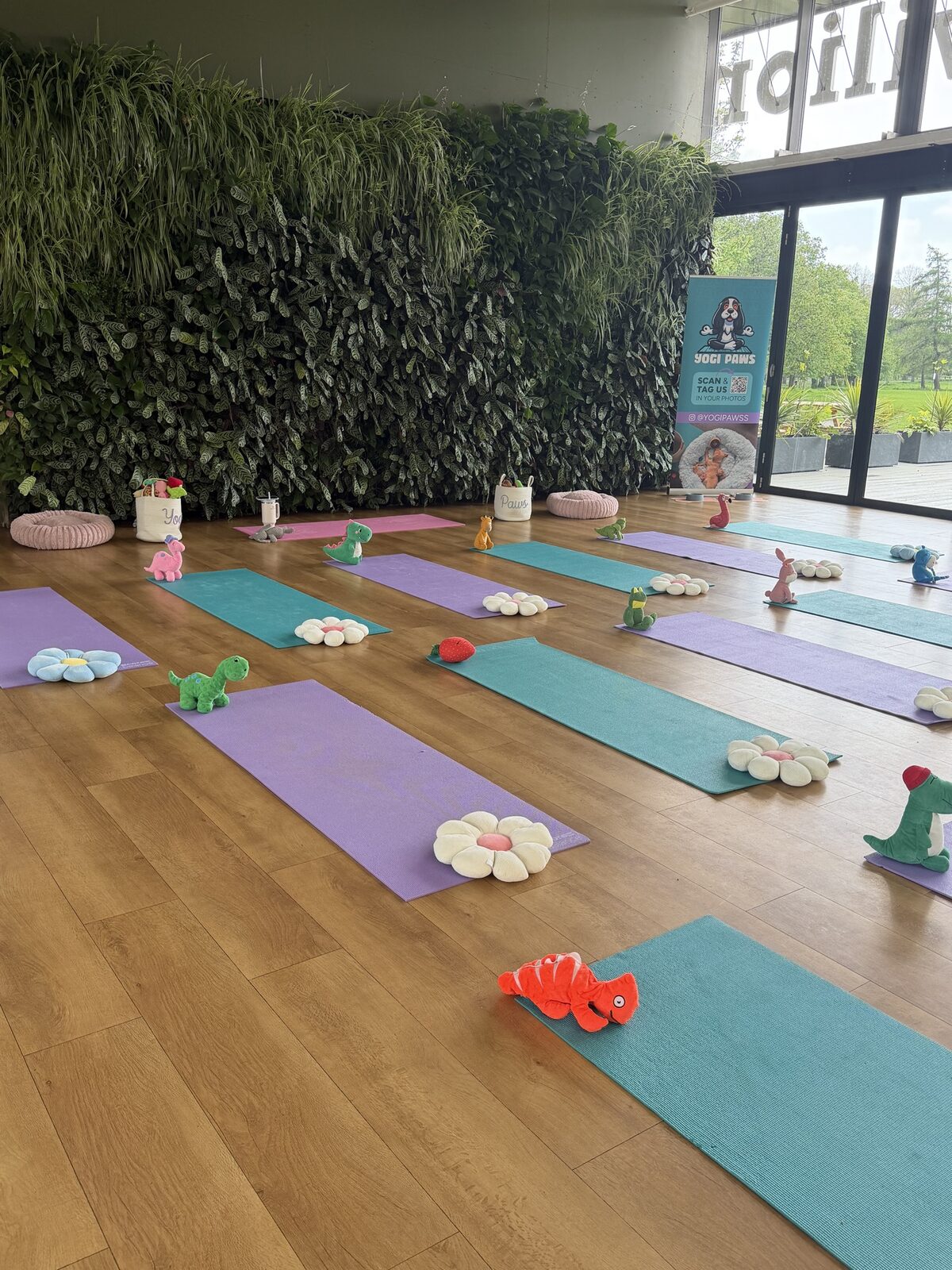 The Yogi Paws studio set up for a session