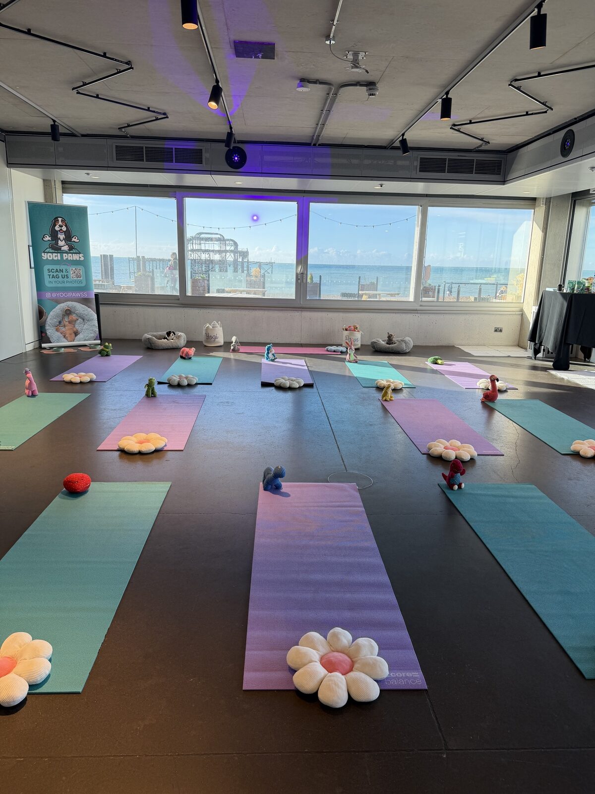 The Yogi Paws studio set up for a session