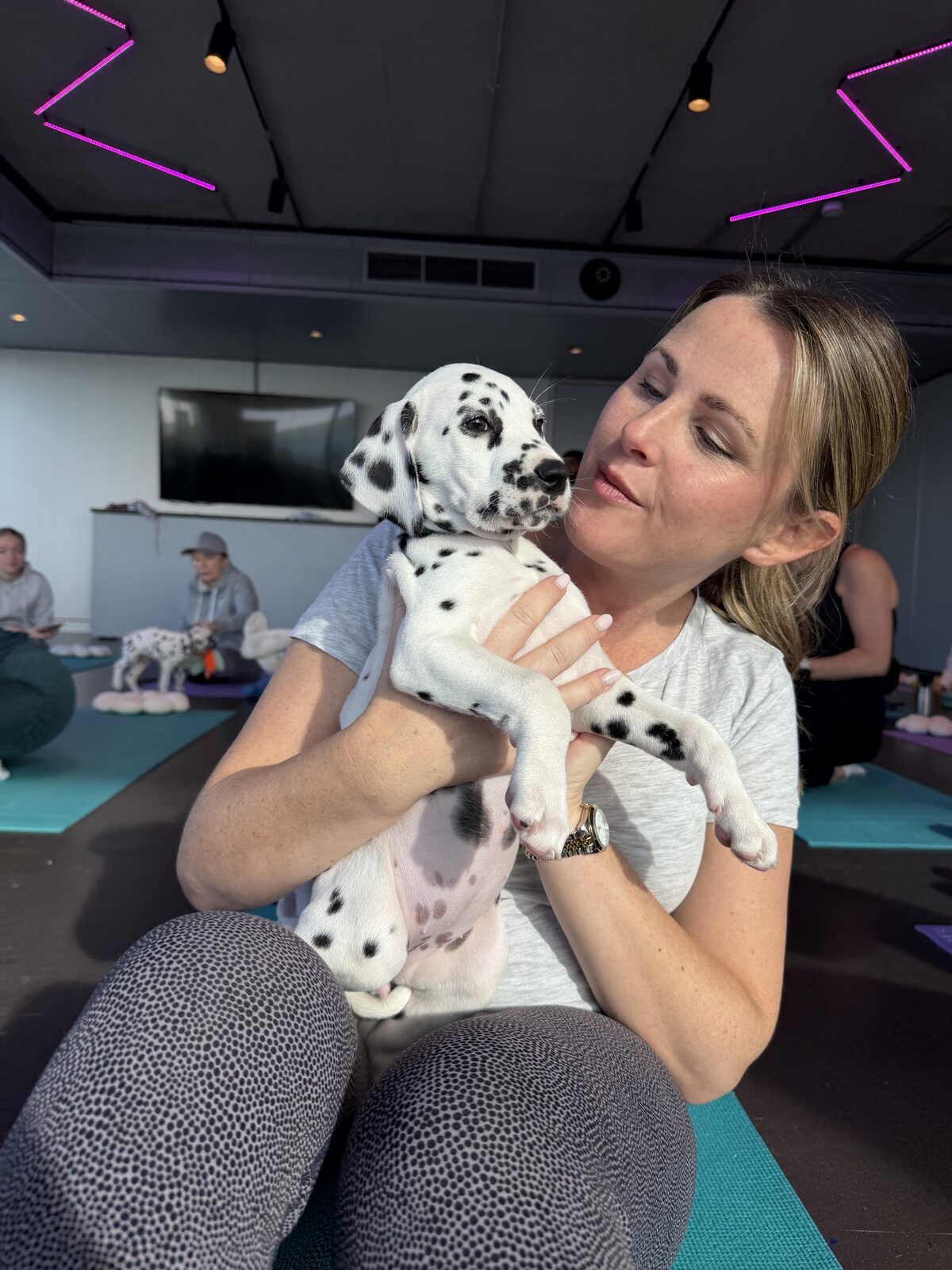 A Yogi Paws puppy yoga class in session