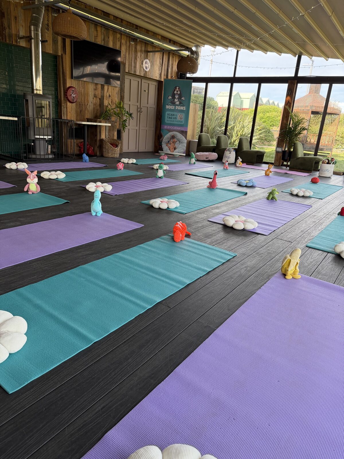 The Yogi Paws studio set up for a session