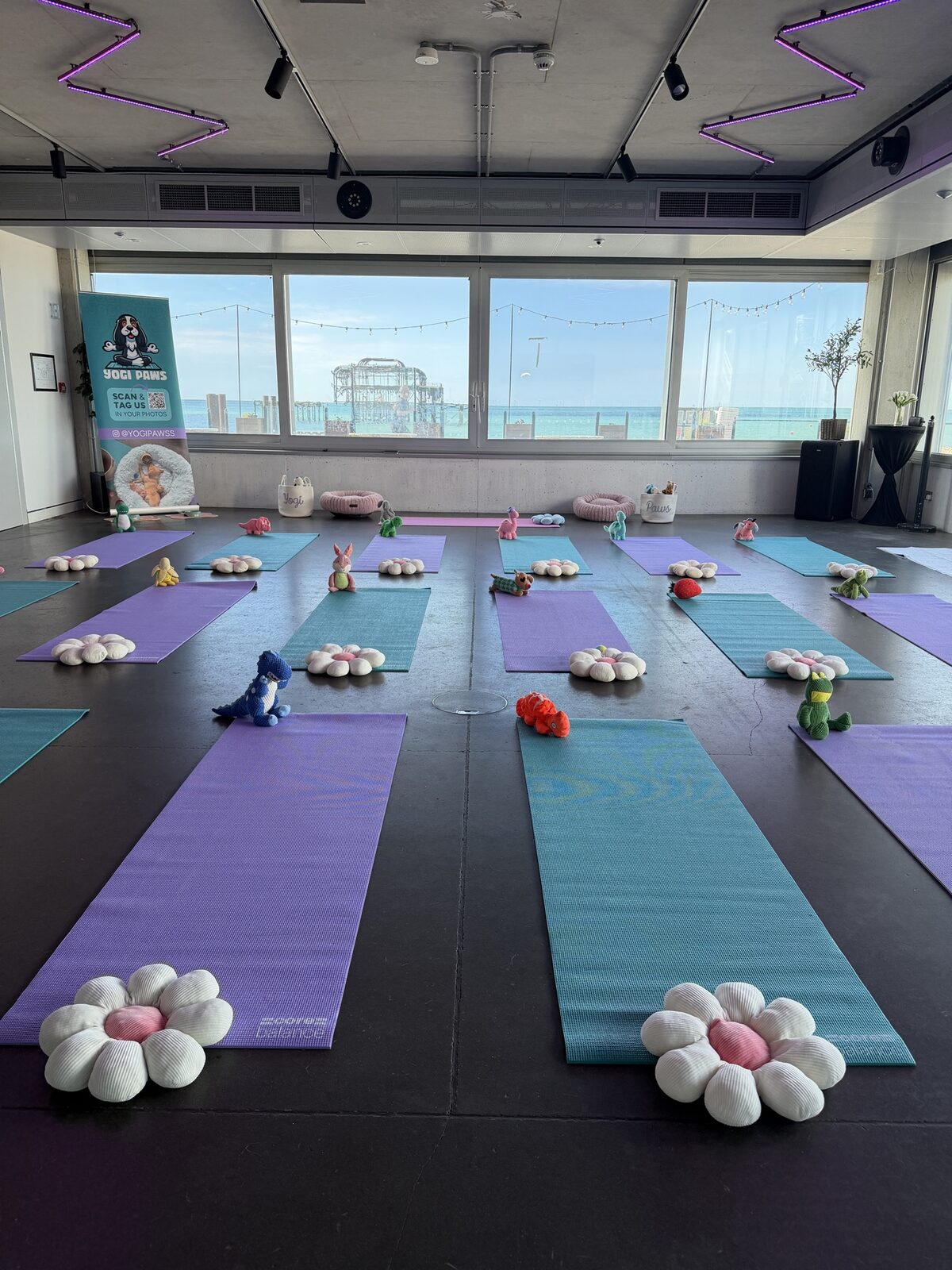 The Yogi Paws studio set up for a session