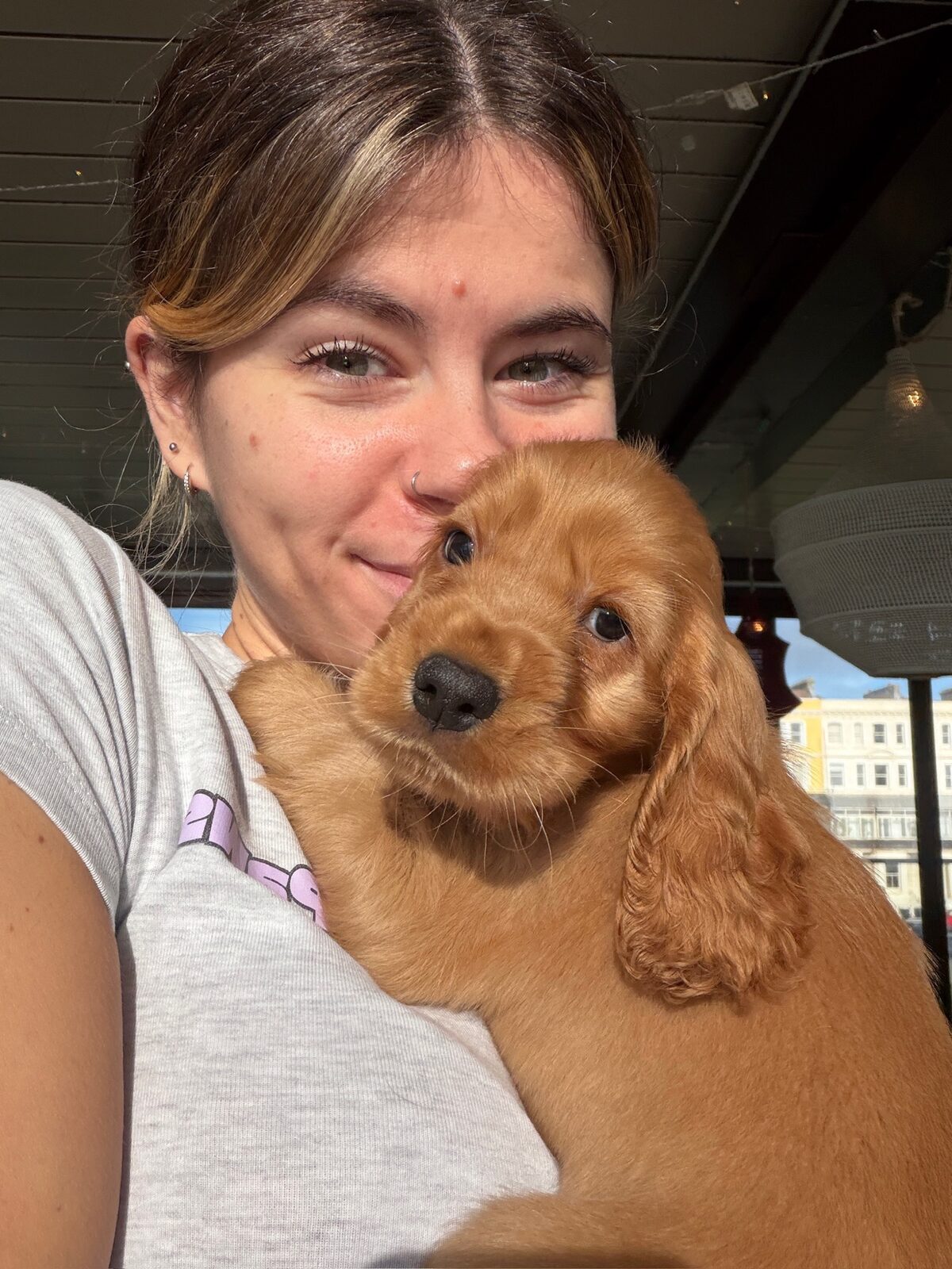 A puppy at a Yogi Paws session