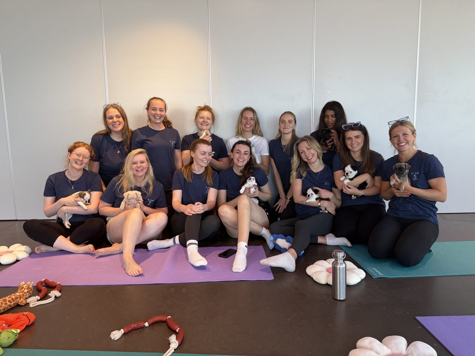 A group enjoying a Yogi Paws private hire