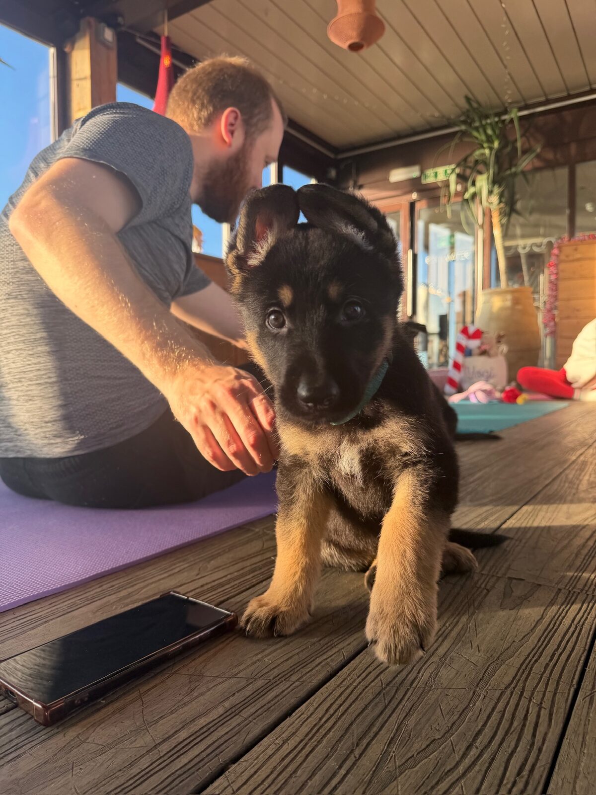 A puppy at a Yogi Paws session