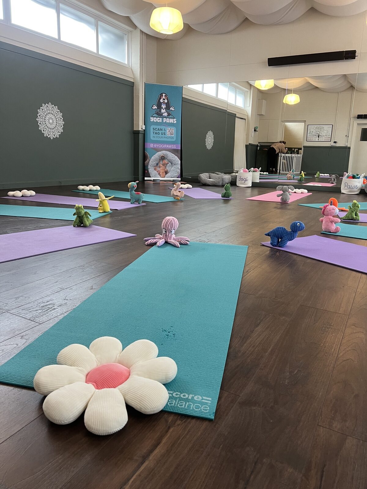 The Yogi Paws studio set up for a session