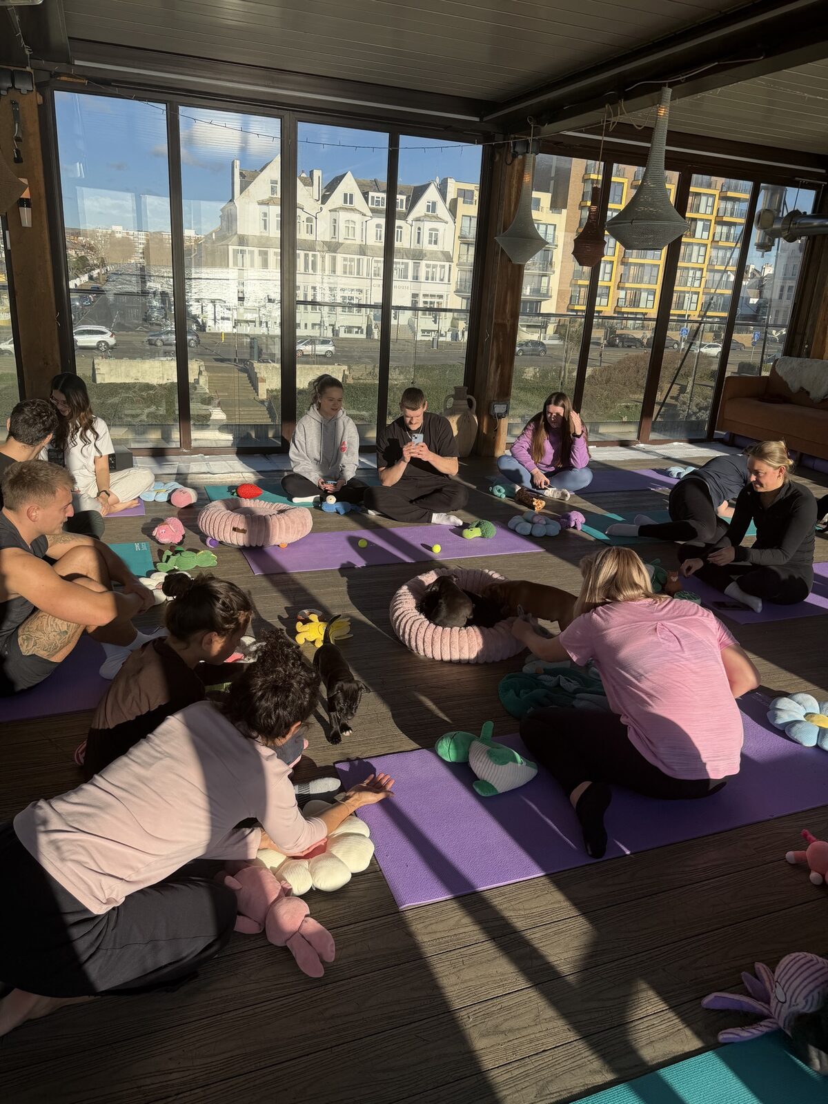 A Yogi Paws puppy yoga class in session
