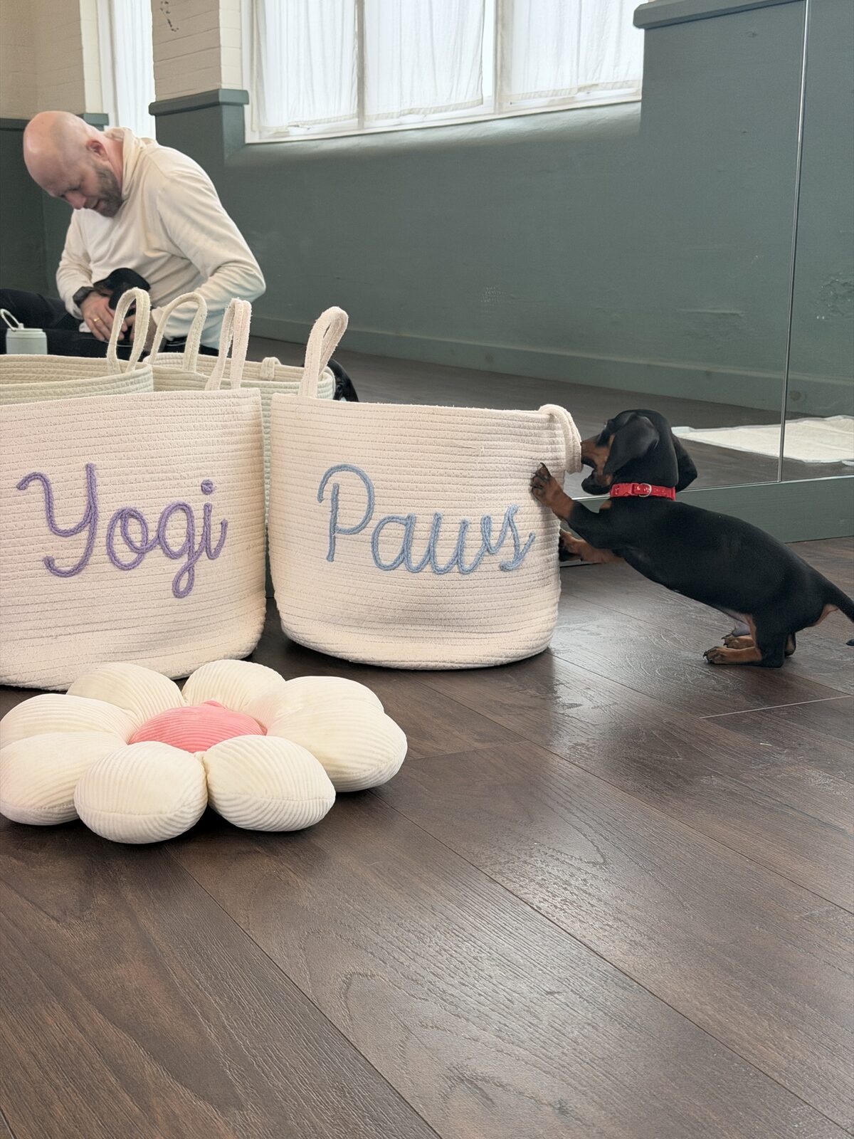The Yogi Paws studio set up for a session