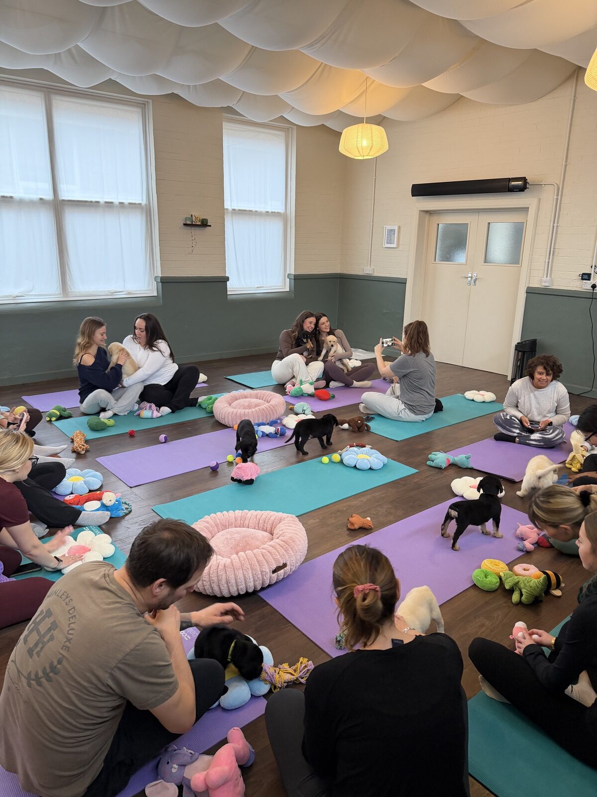 A Yogi Paws puppy yoga class in session