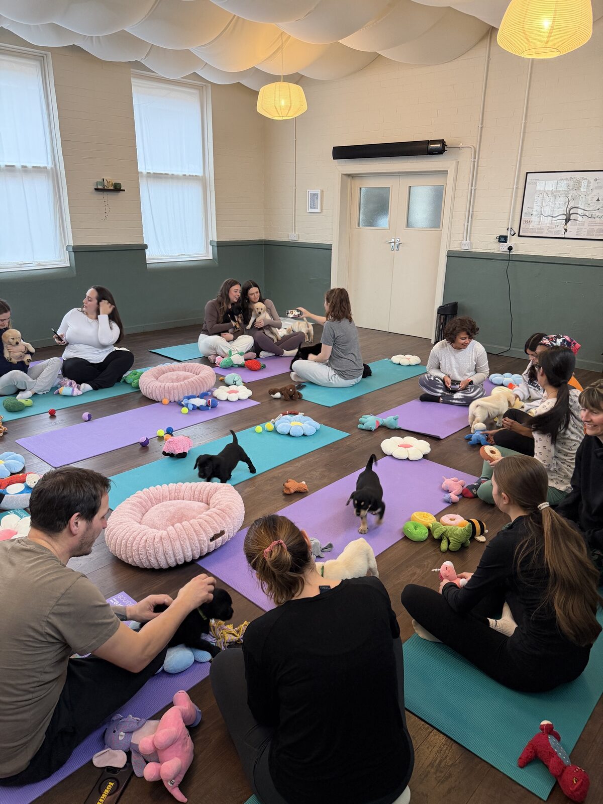 A Yogi Paws puppy yoga class in session