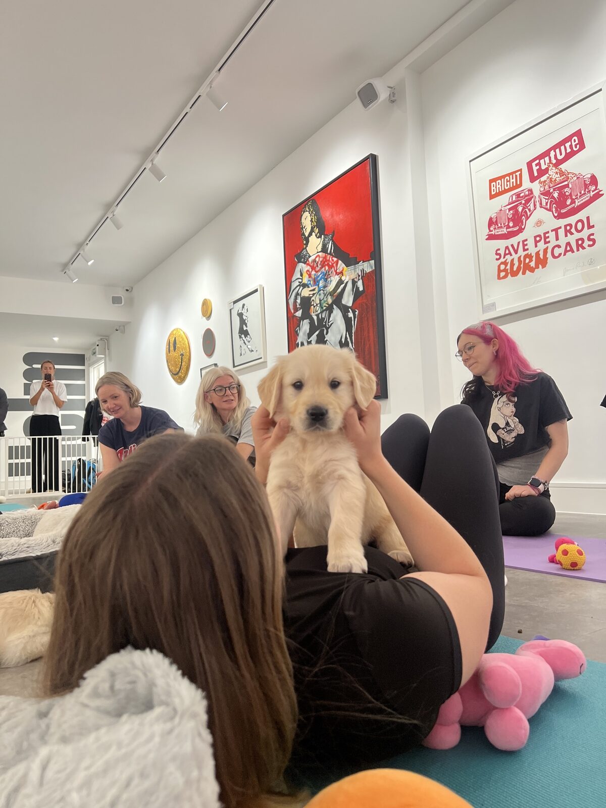 A puppy at a Yogi Paws session