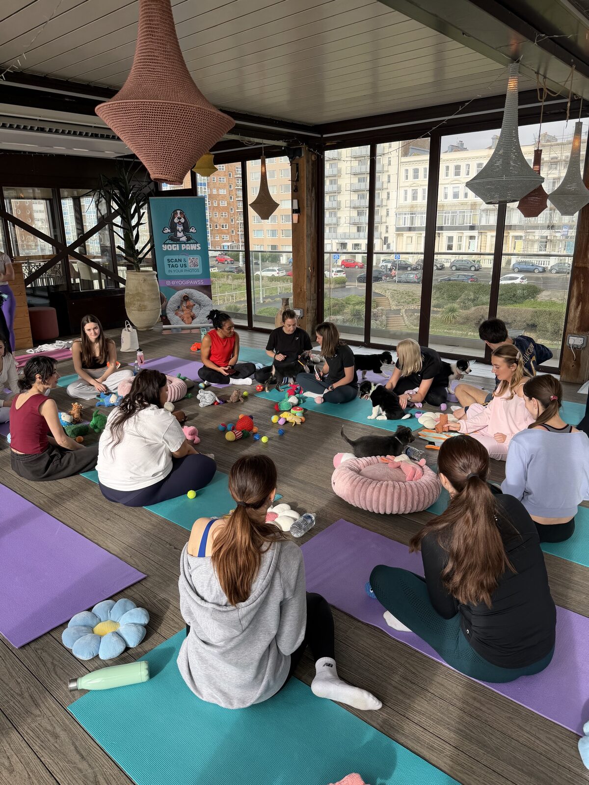 A Yogi Paws puppy yoga class in session