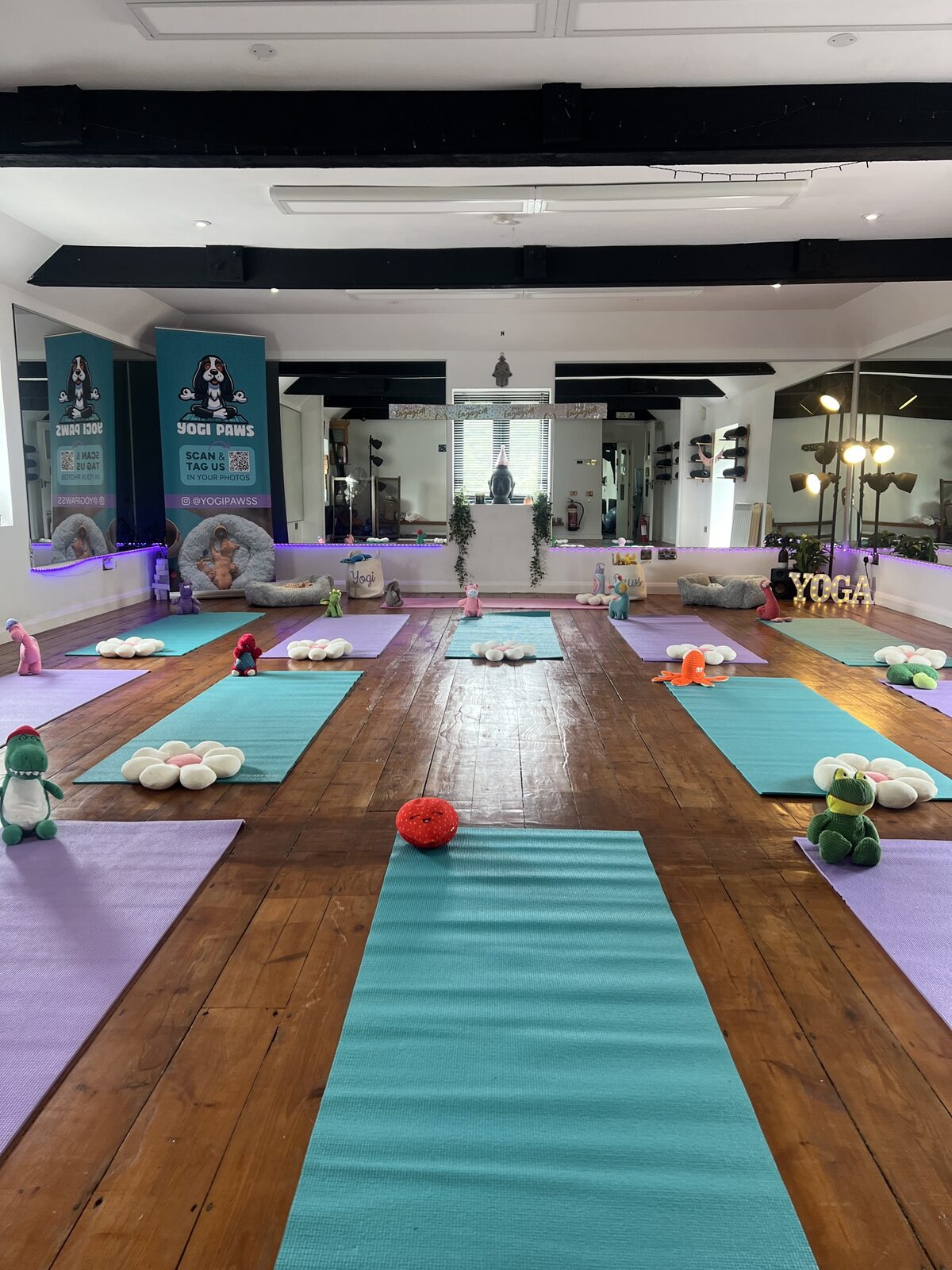 The Yogi Paws studio set up for a session