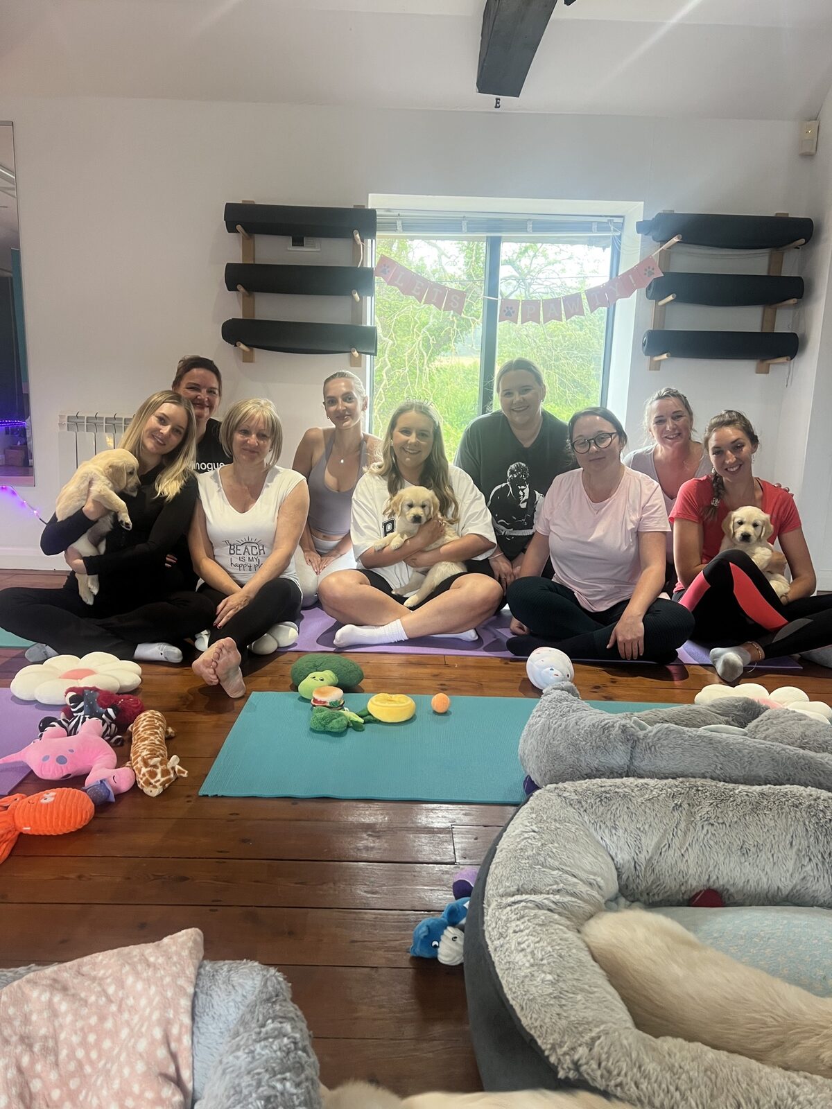 A group enjoying a Yogi Paws private hire