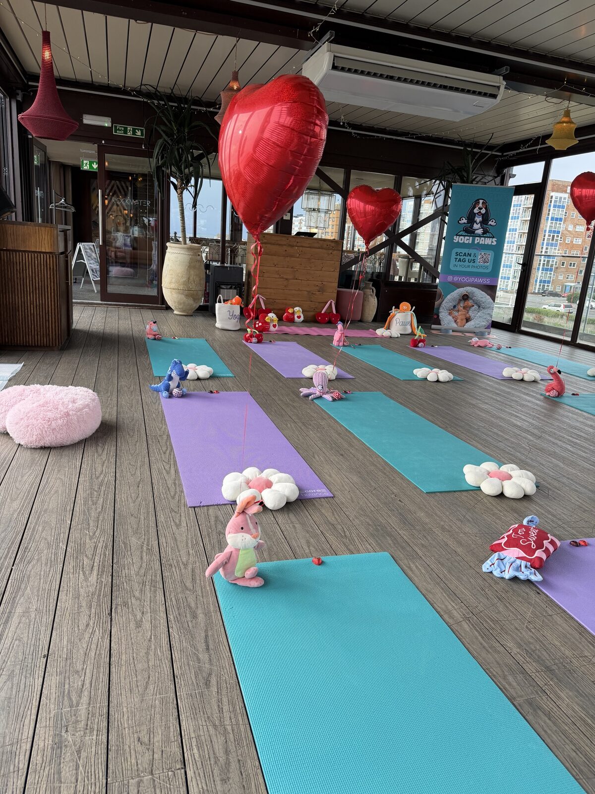 The Yogi Paws studio set up for a session