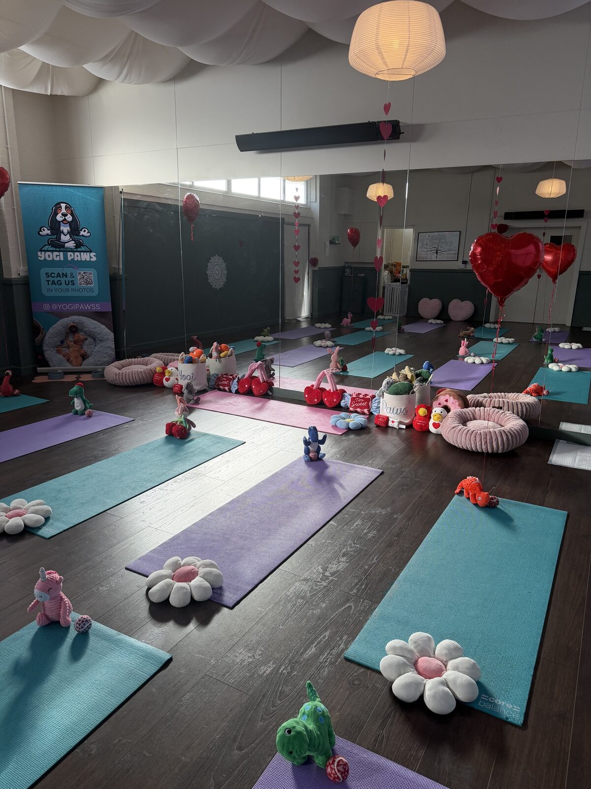The Yogi Paws studio set up for a session