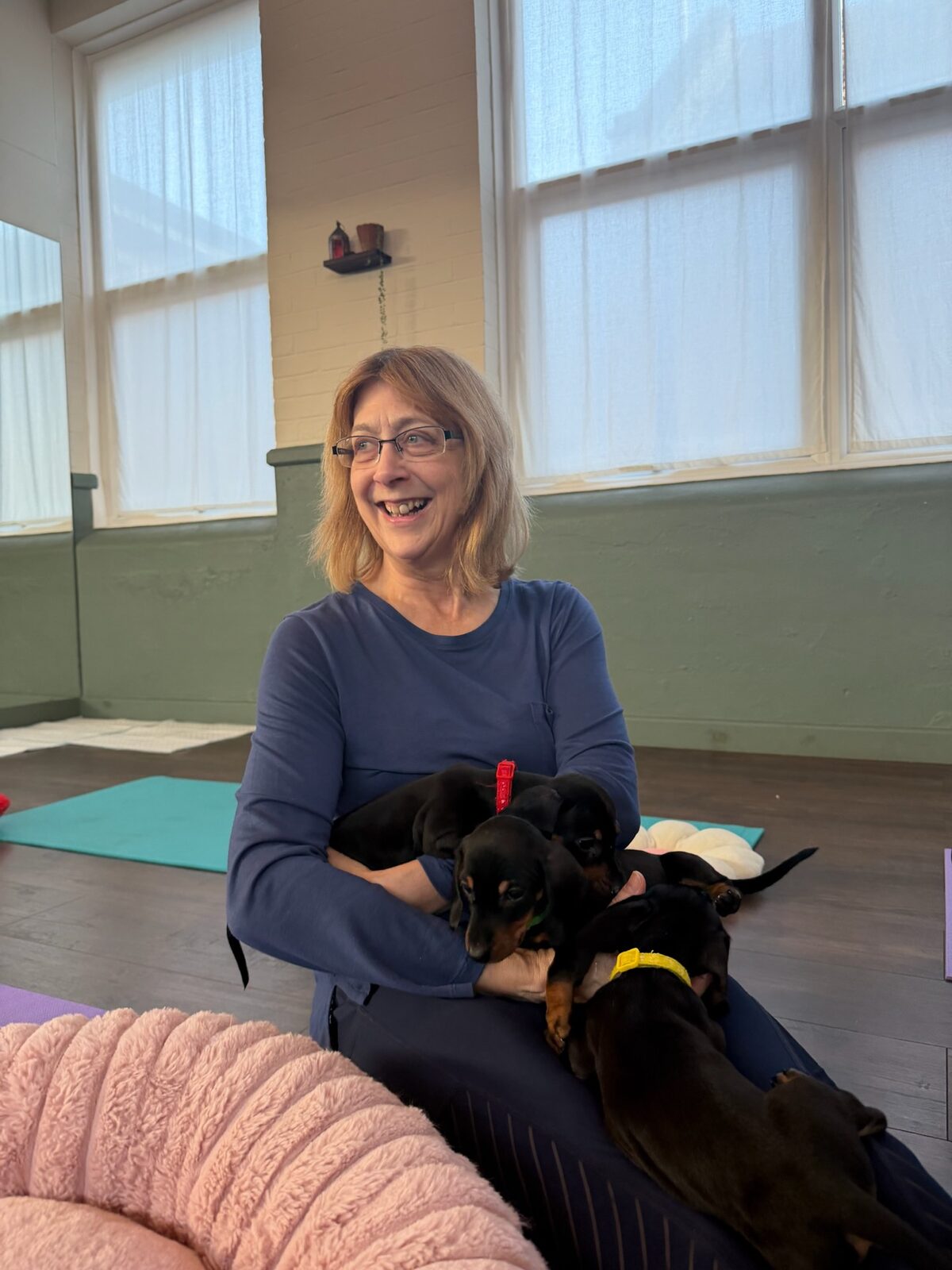 A Yogi Paws puppy yoga class in session