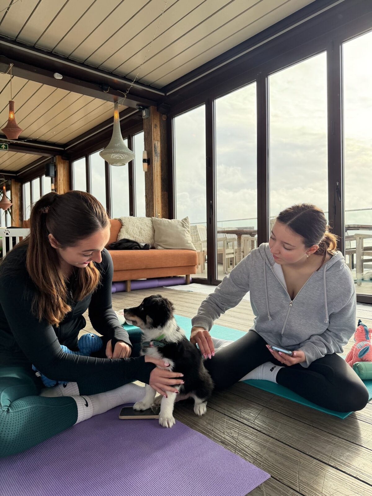 A Yogi Paws puppy yoga class in session