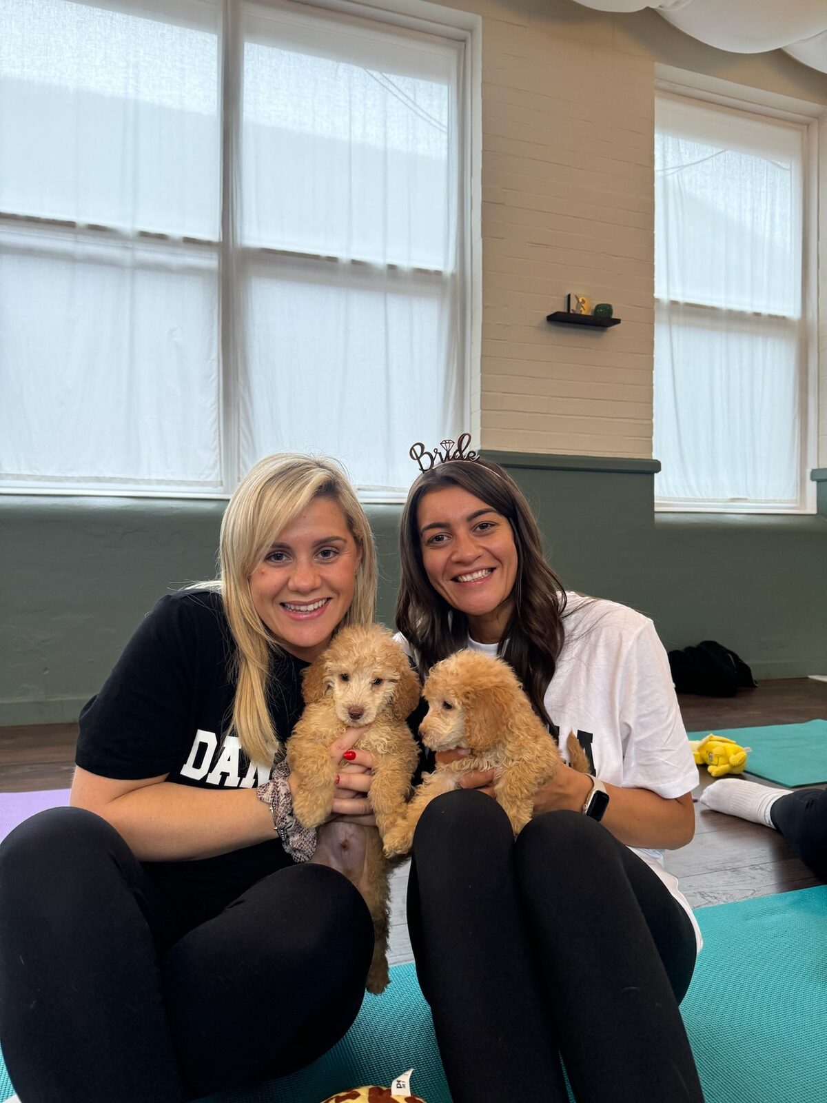 A group enjoying a Yogi Paws private hire