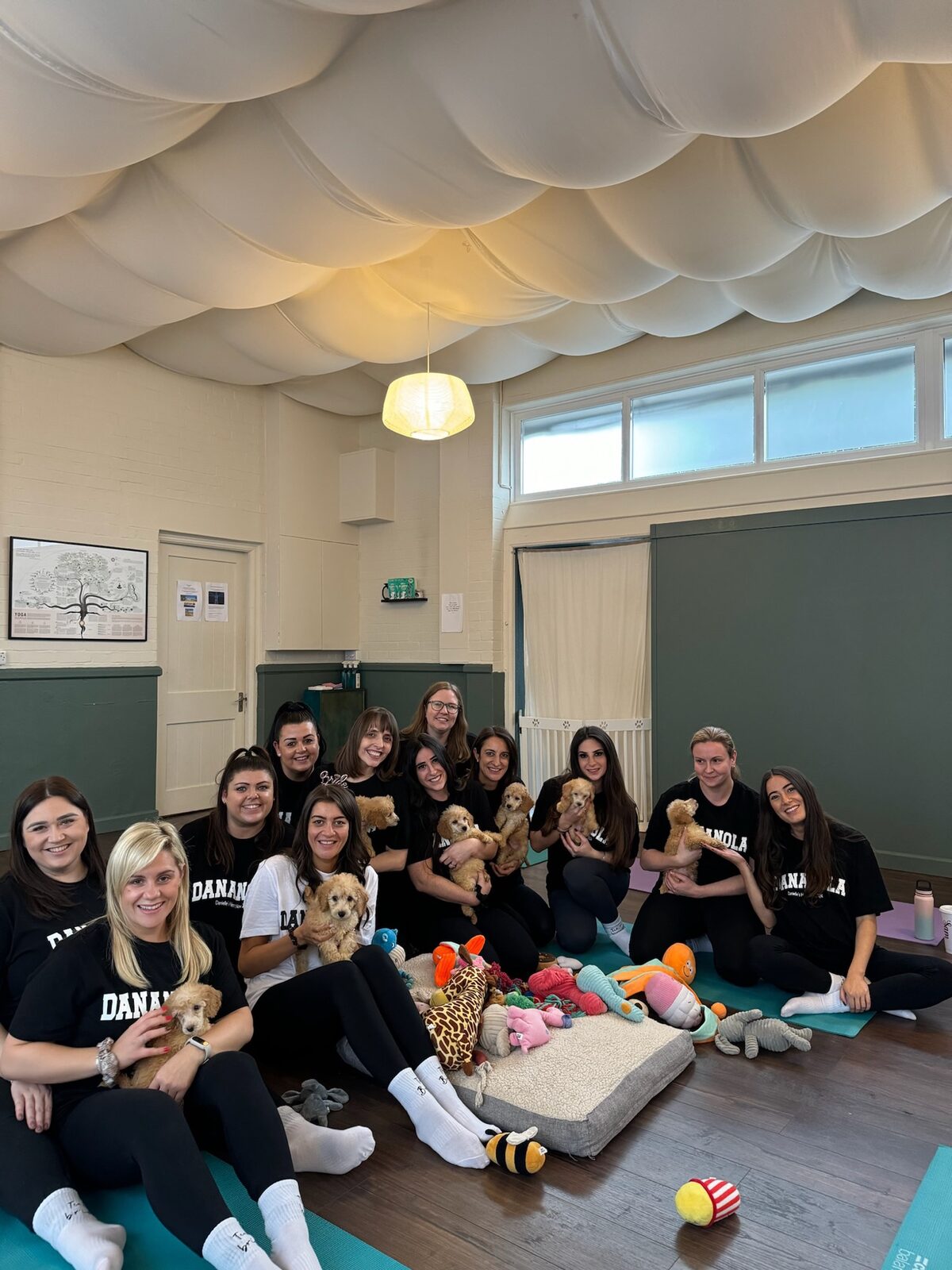 A group enjoying a Yogi Paws private hire