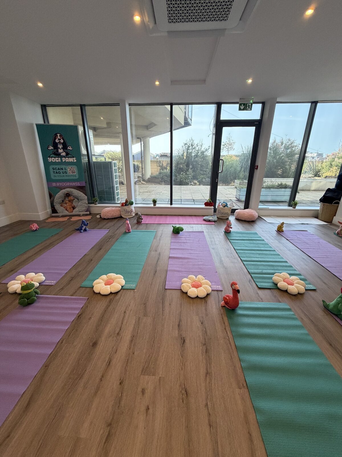 The Yogi Paws studio set up for a session